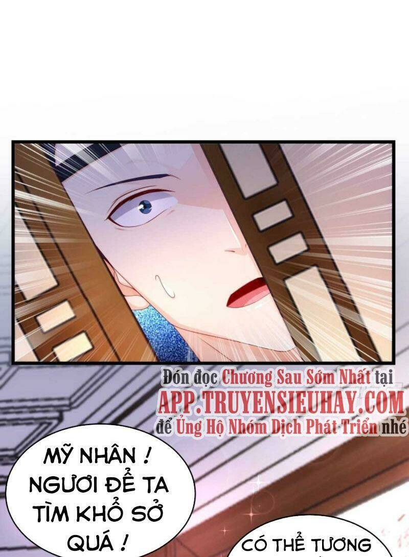 page_24.jpg