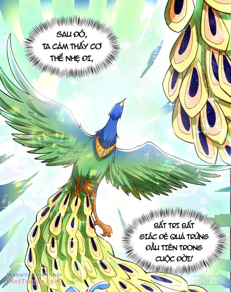 page_13.jpg
