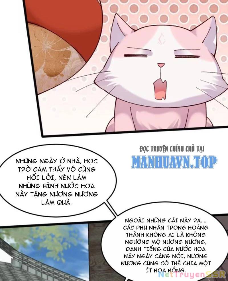 page_22.jpg