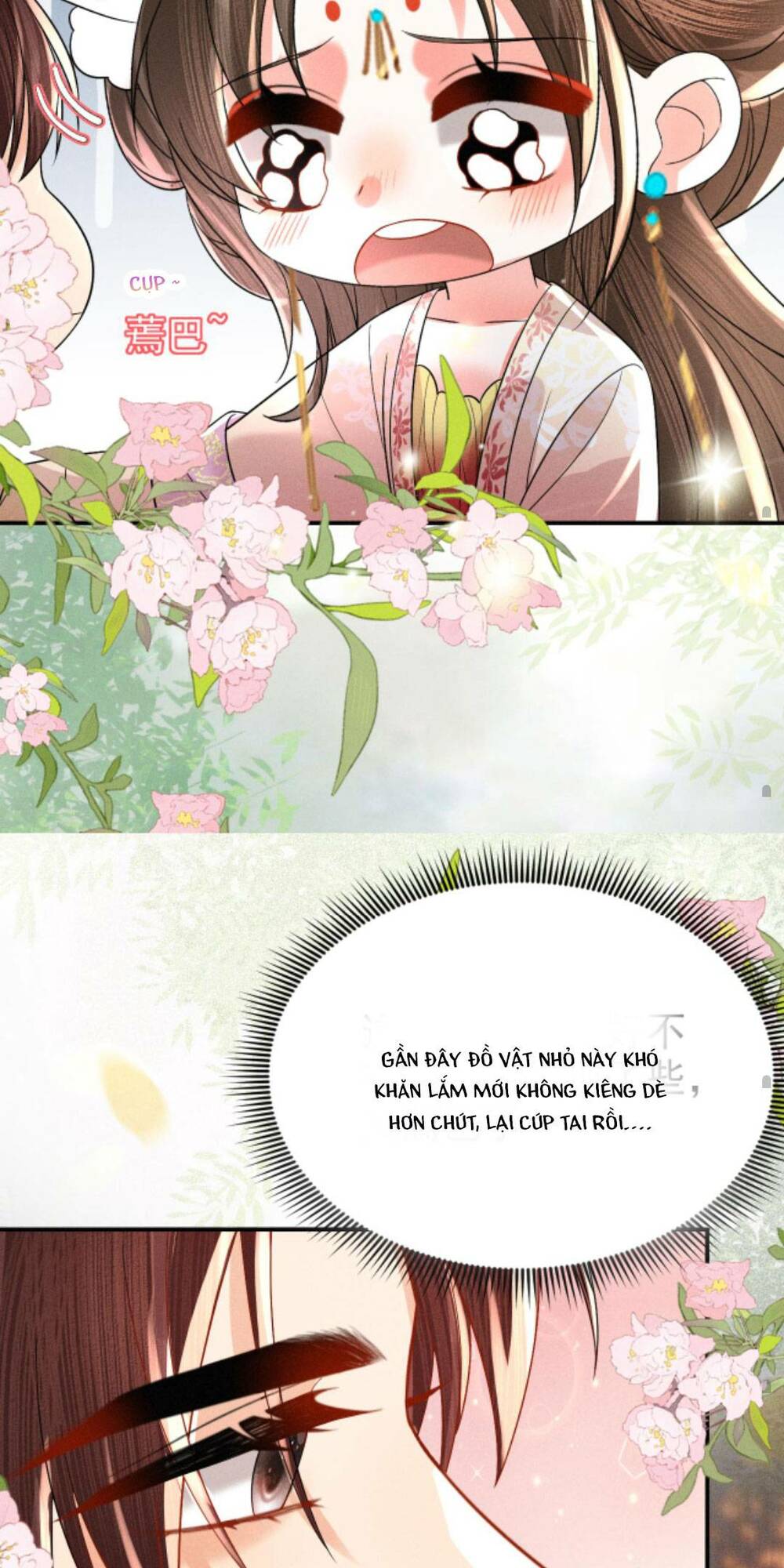 page_17.jpg