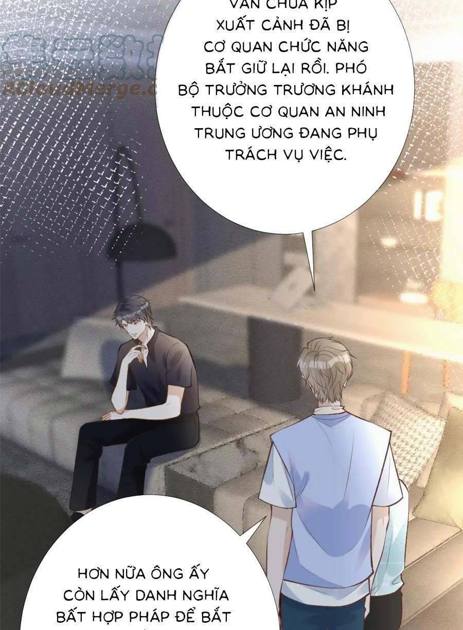 page_26.jpg
