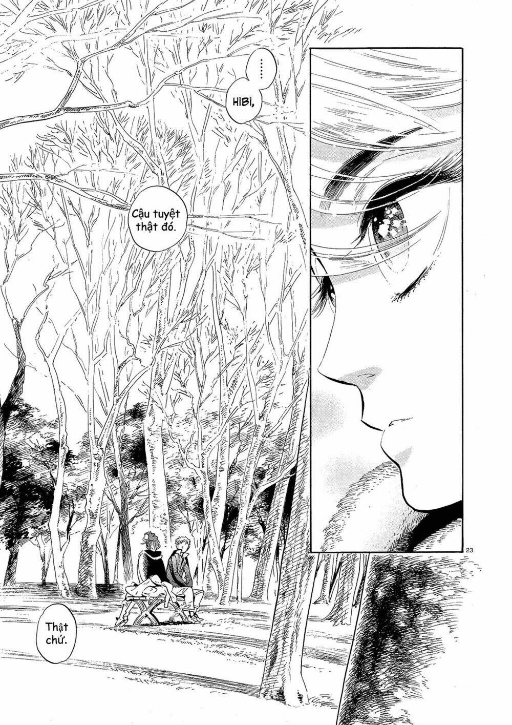 page_25.jpg