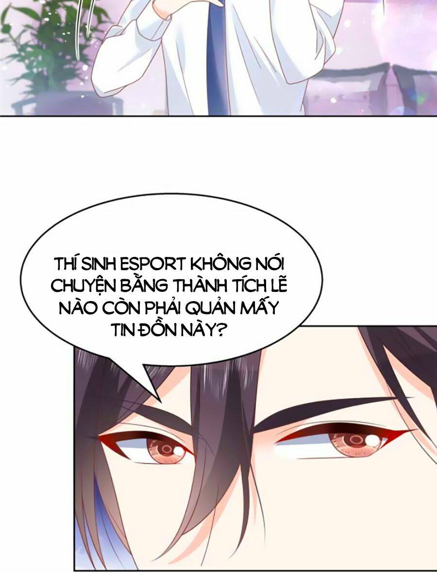 page_28.jpg
