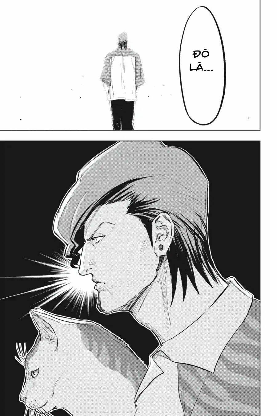 page_14.jpg
