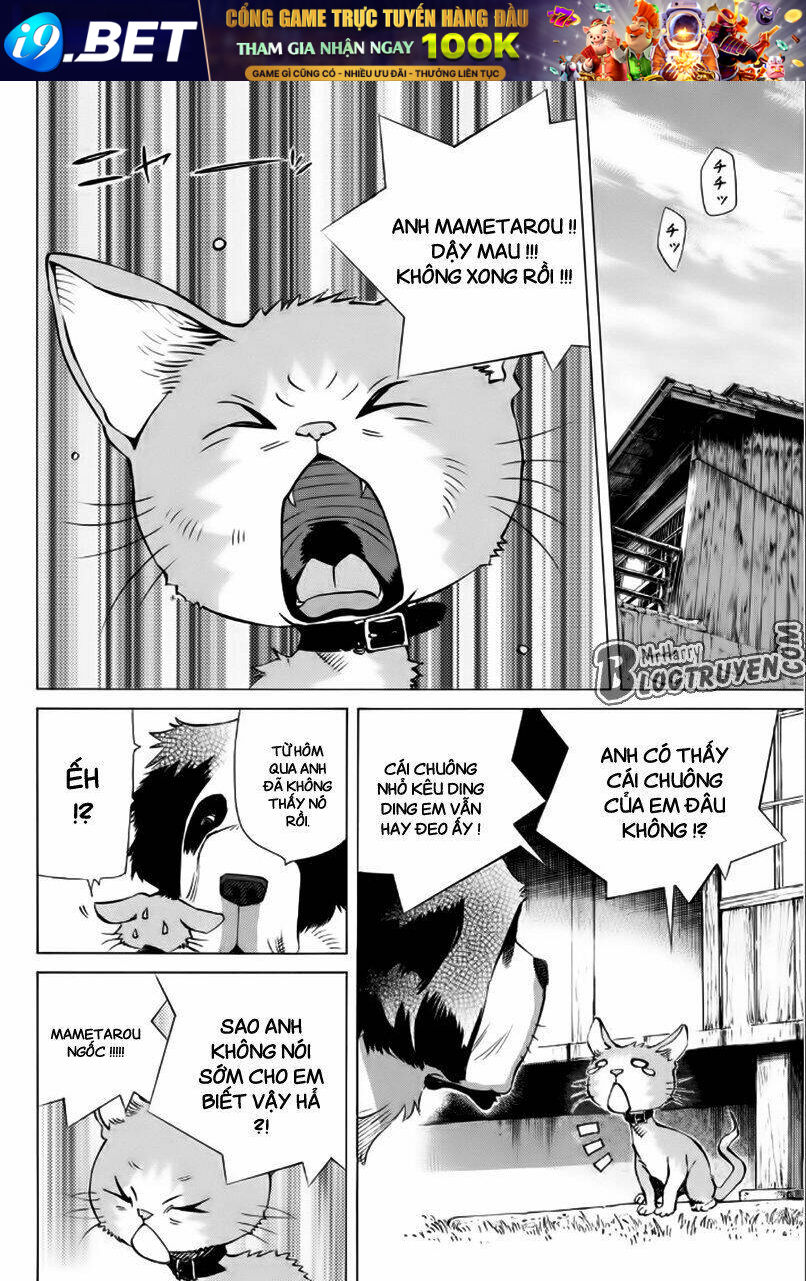 page_27.jpg