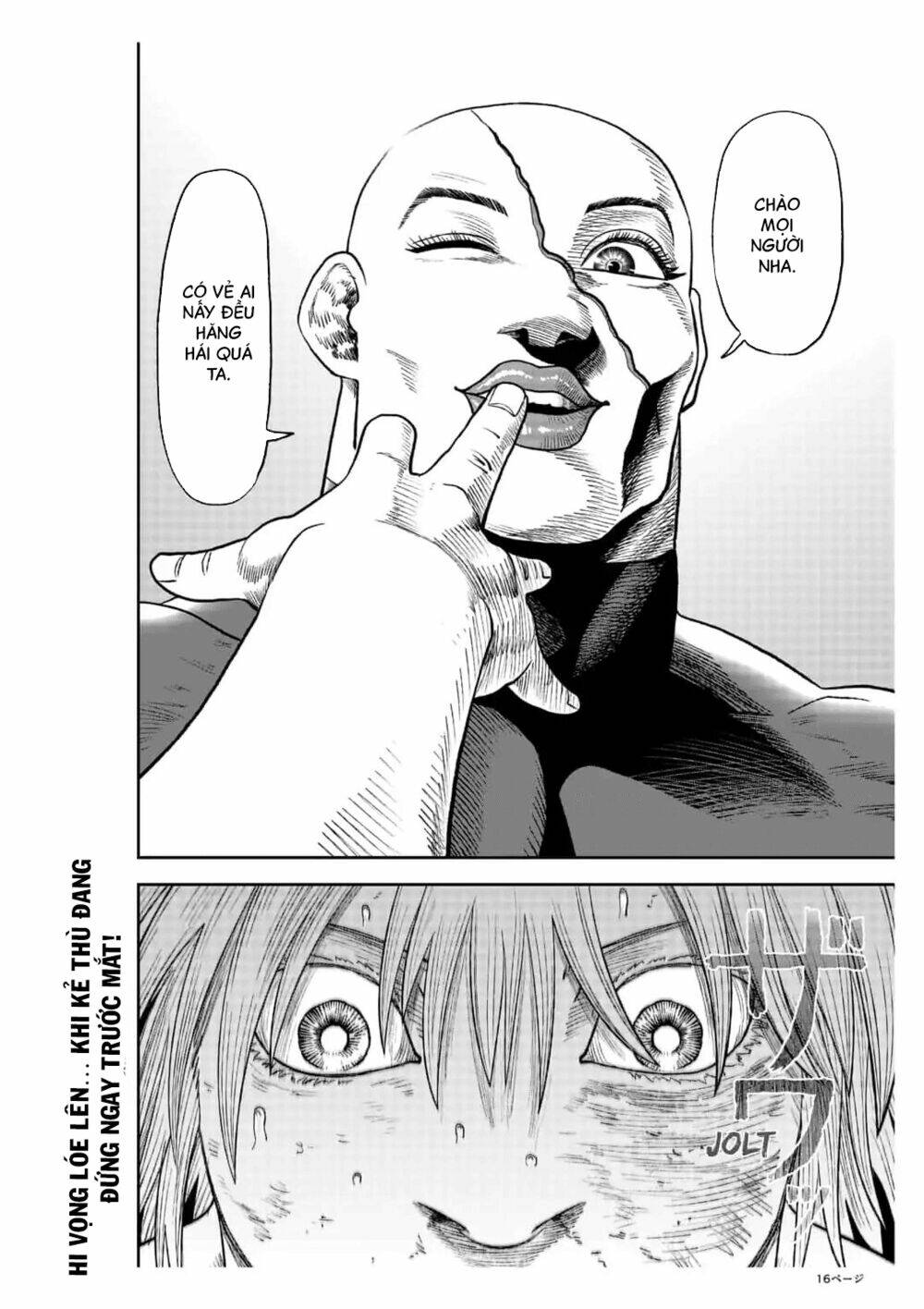 page_17.jpg