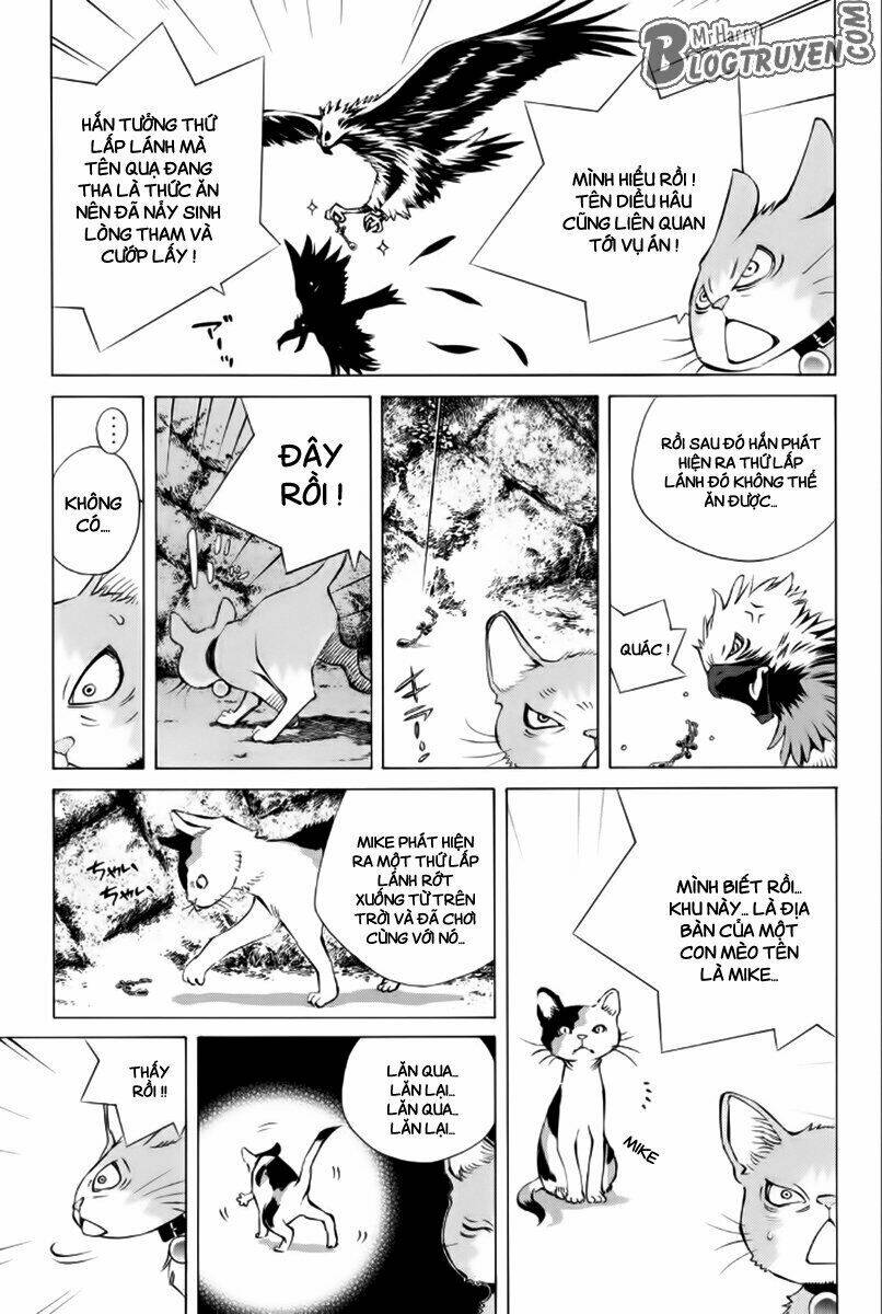 page_20.jpg