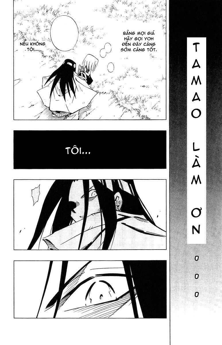 page_16.jpg