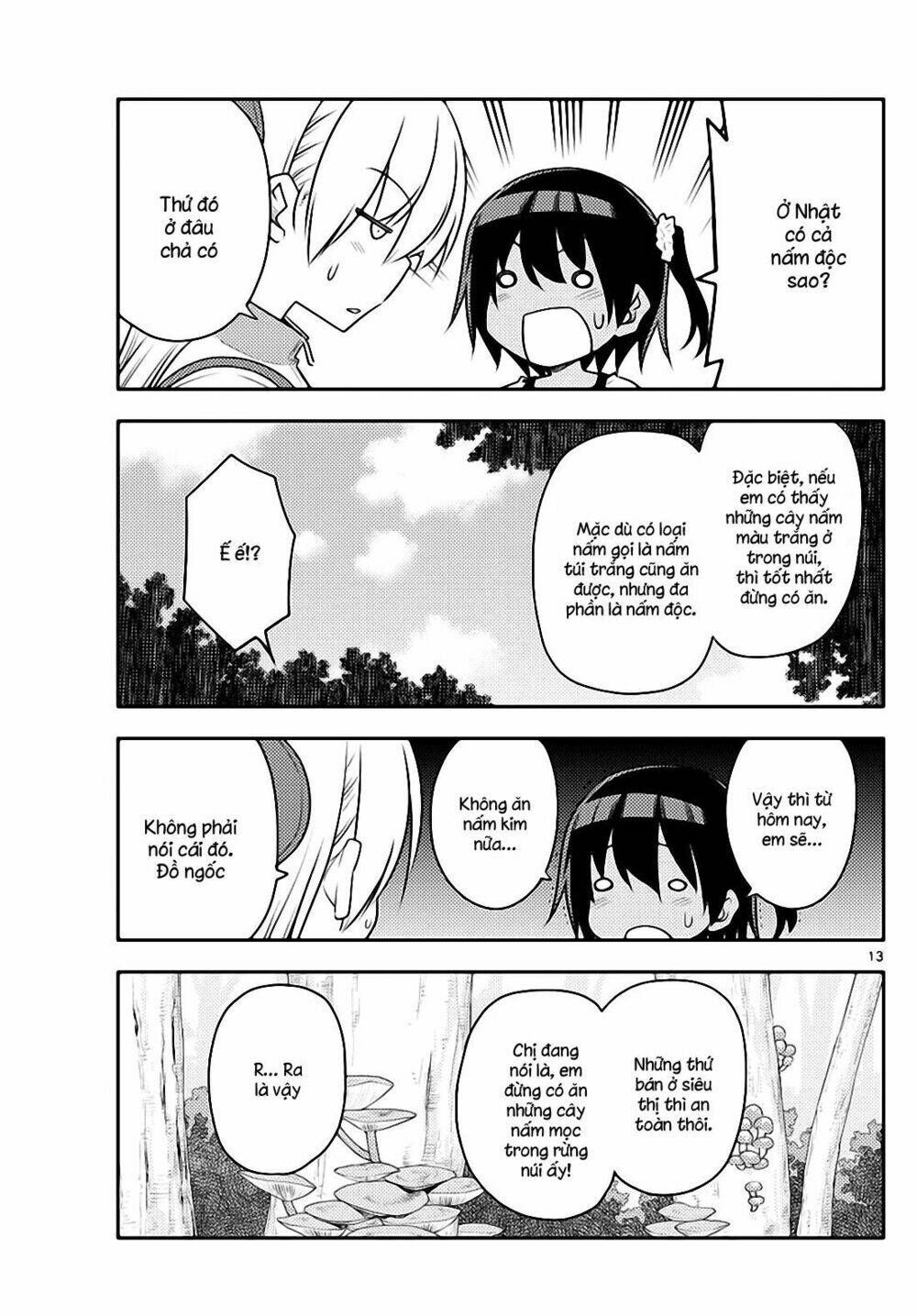 page_13.jpg