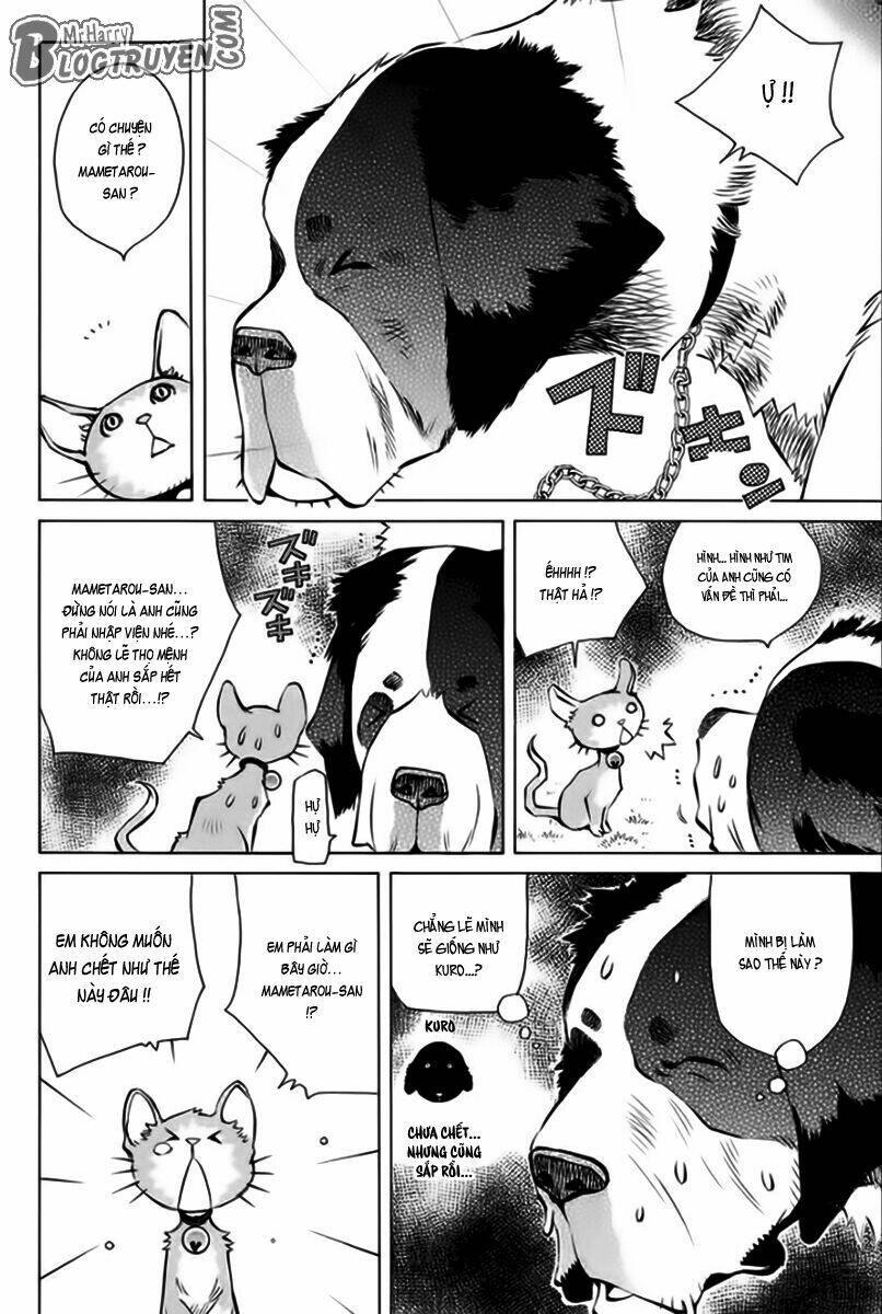 page_9.jpg