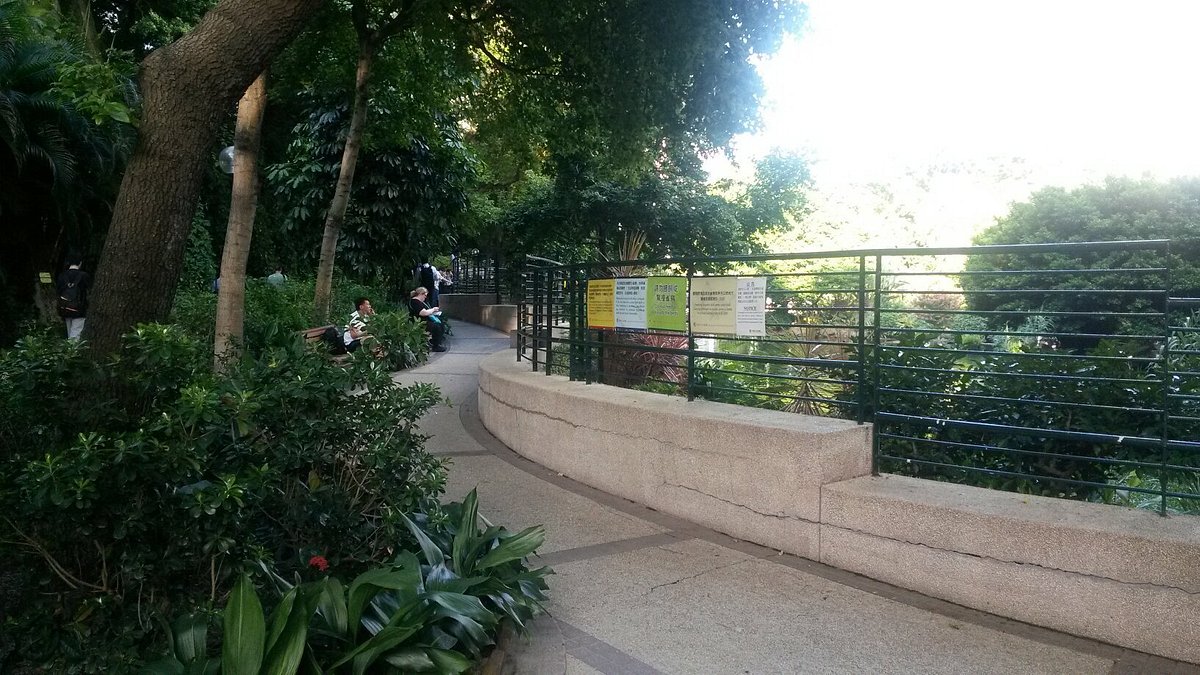 parc-de-kowloon.jpg