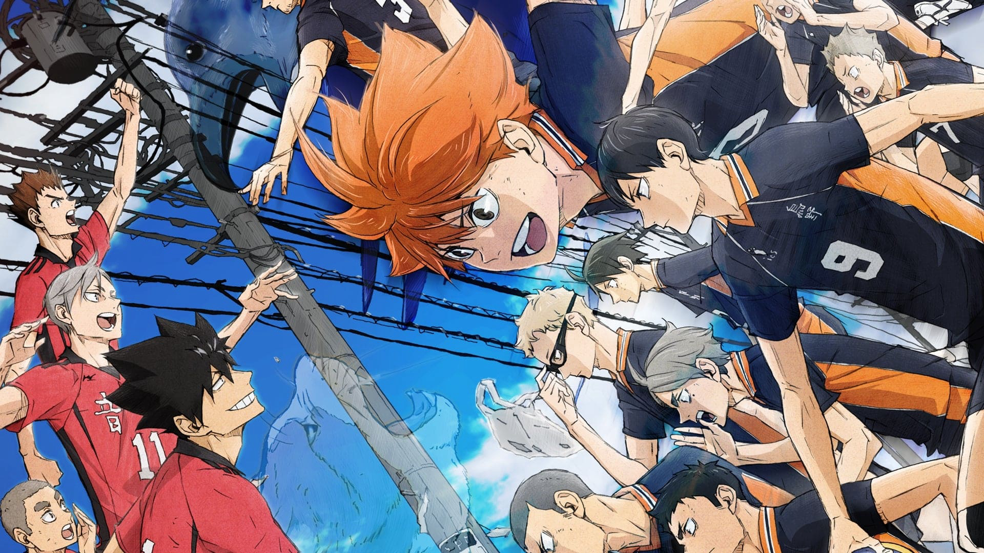 haikyu-tran-chien-bai-phe-lieu-poster.jpg