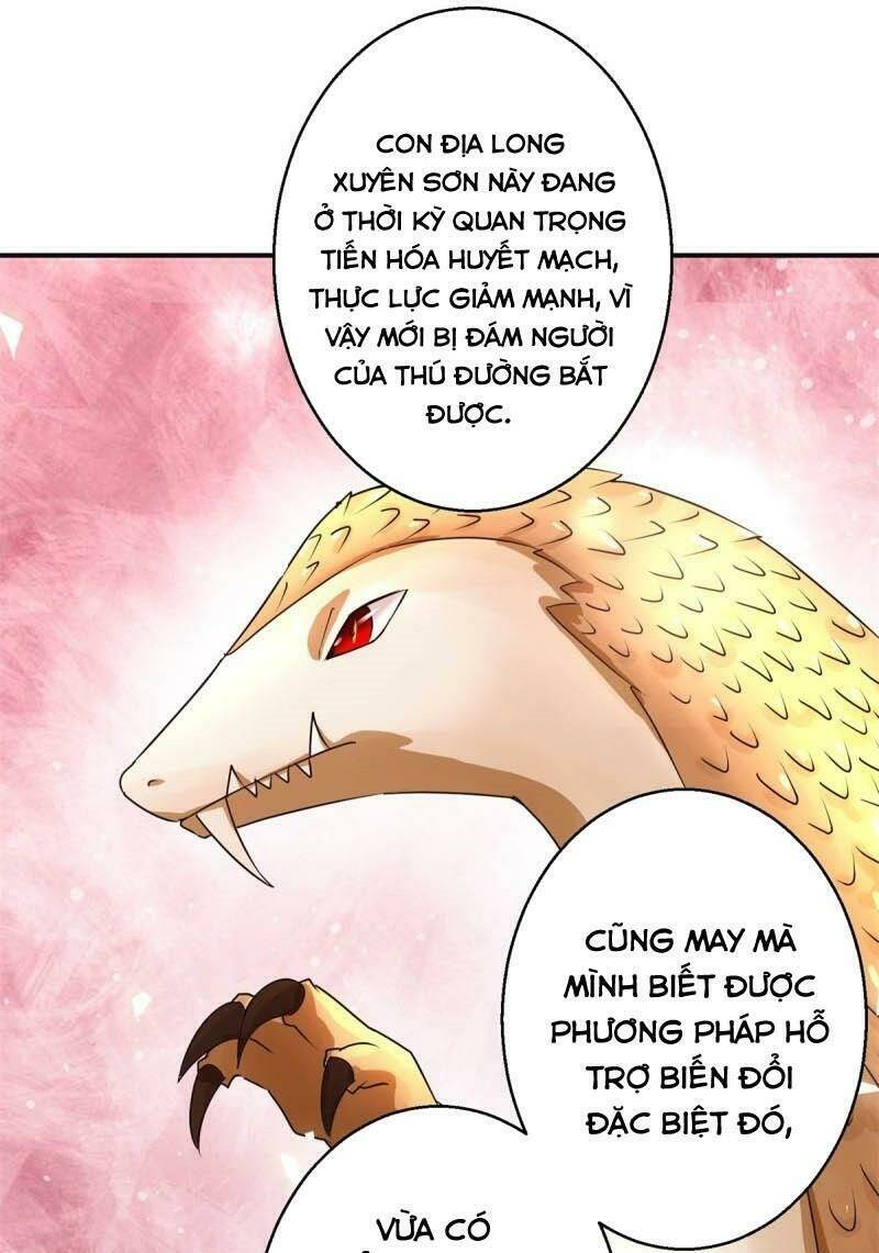 page_19.jpg