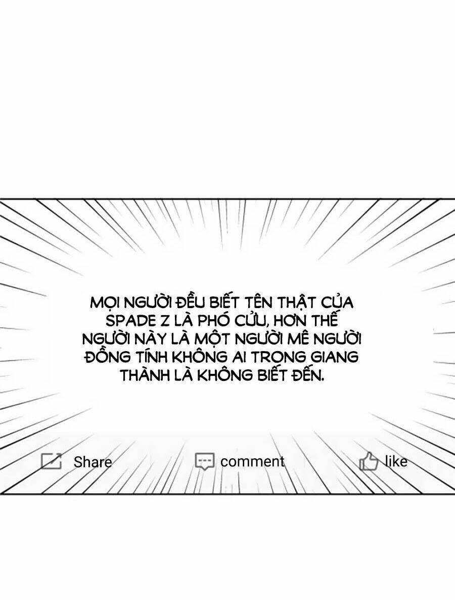 page_28.jpg