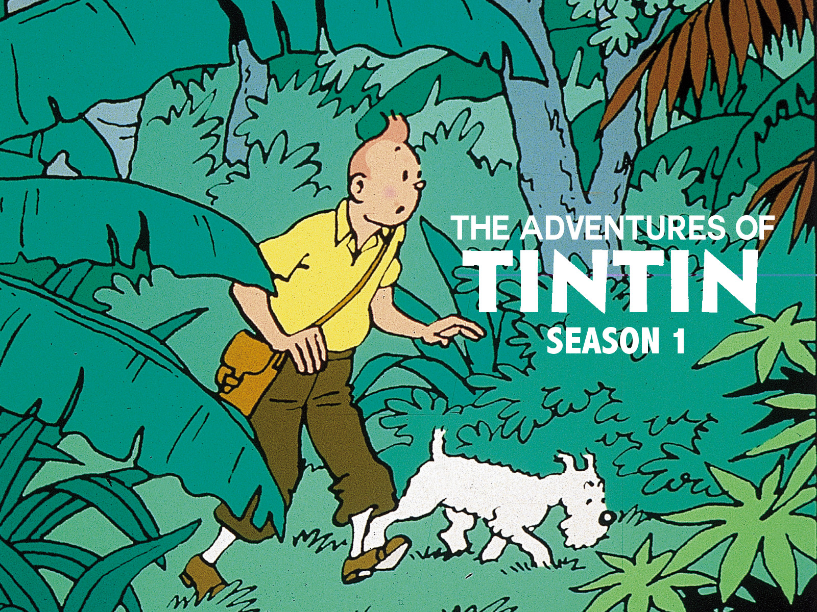 nhung-cuoc-phieu-luu-cua-tintin-phan-1-poster.jpg