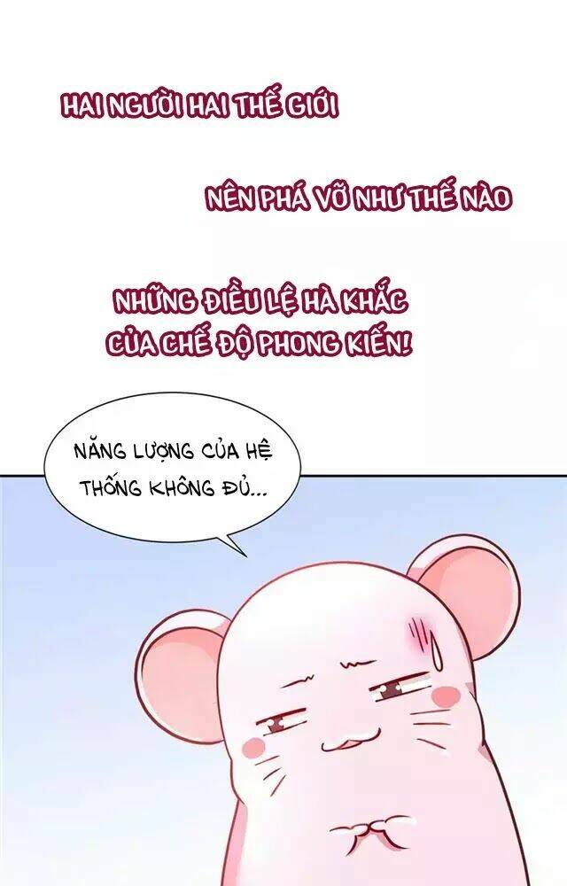 page_40.jpg