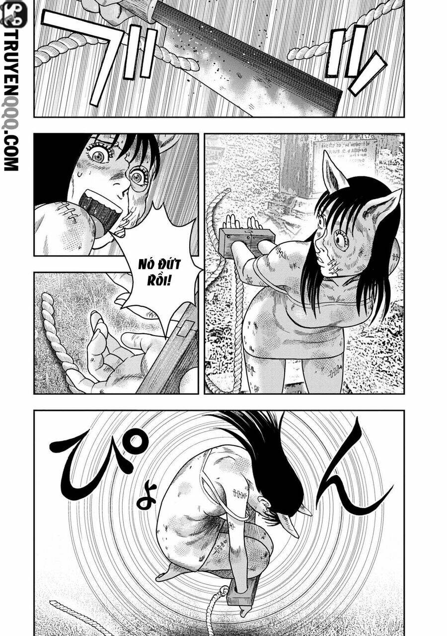 page_19.jpg