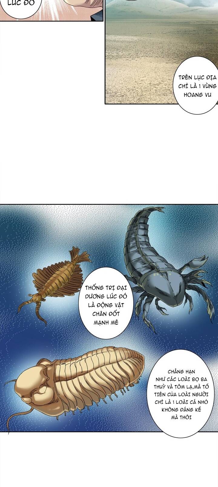 page_22.jpg