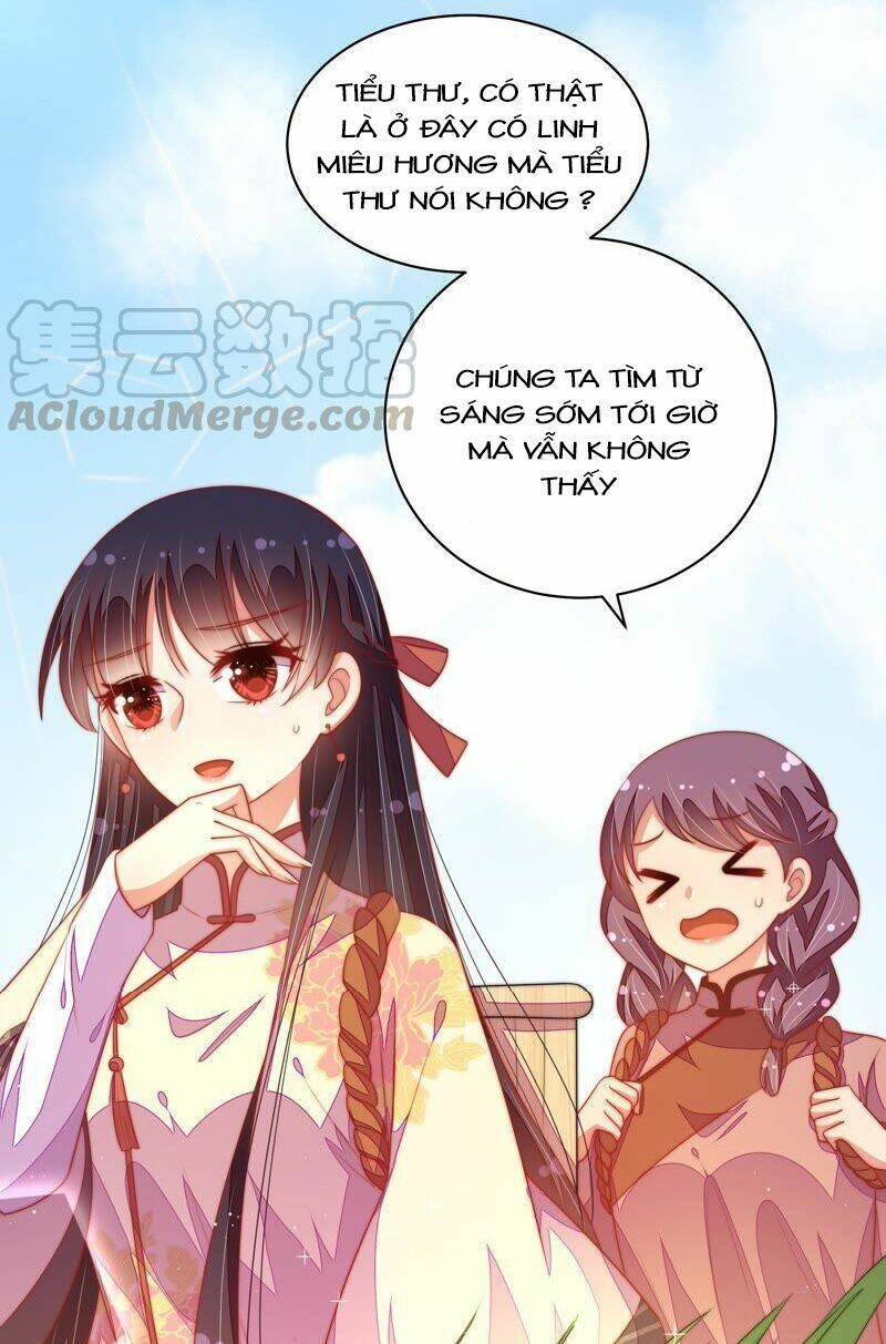 page_9.jpg
