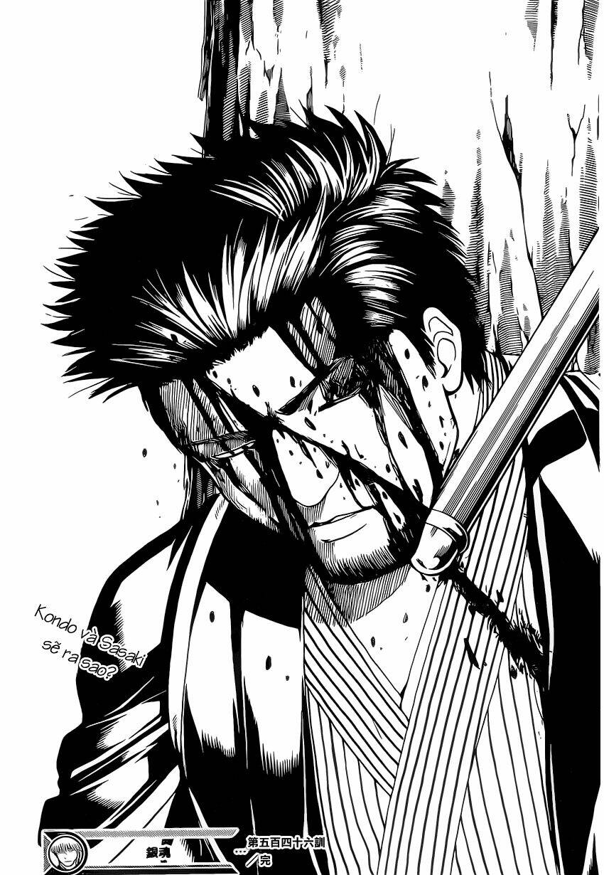 page_19.jpg