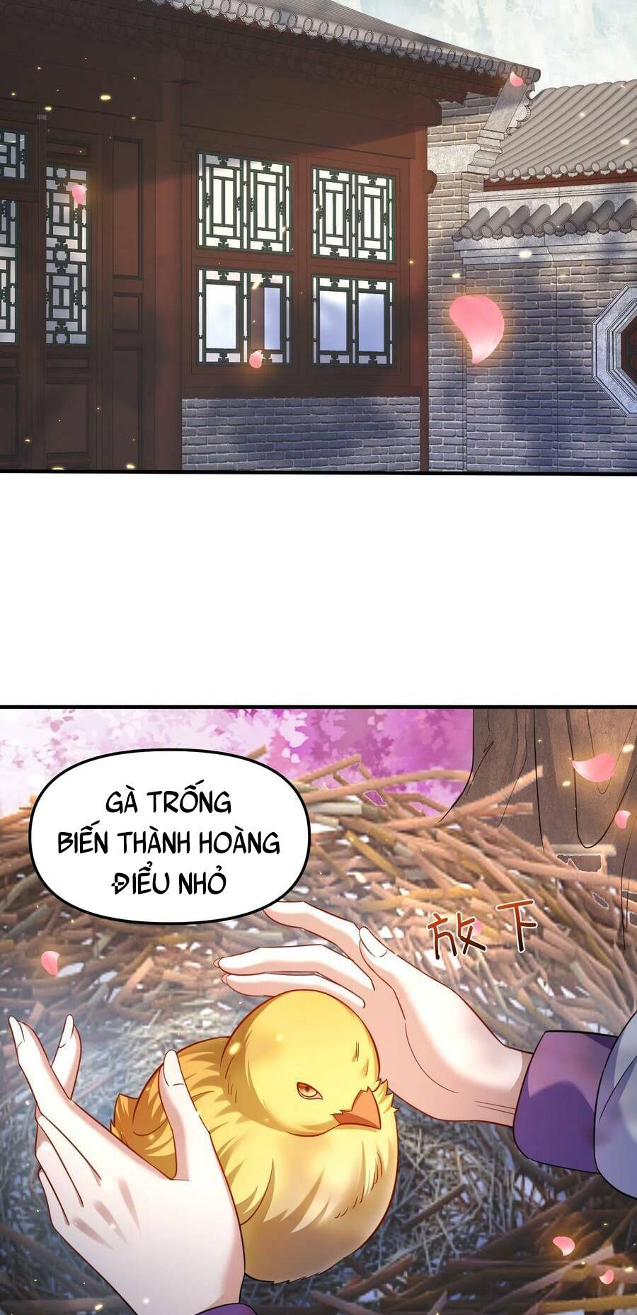 page_42.jpg