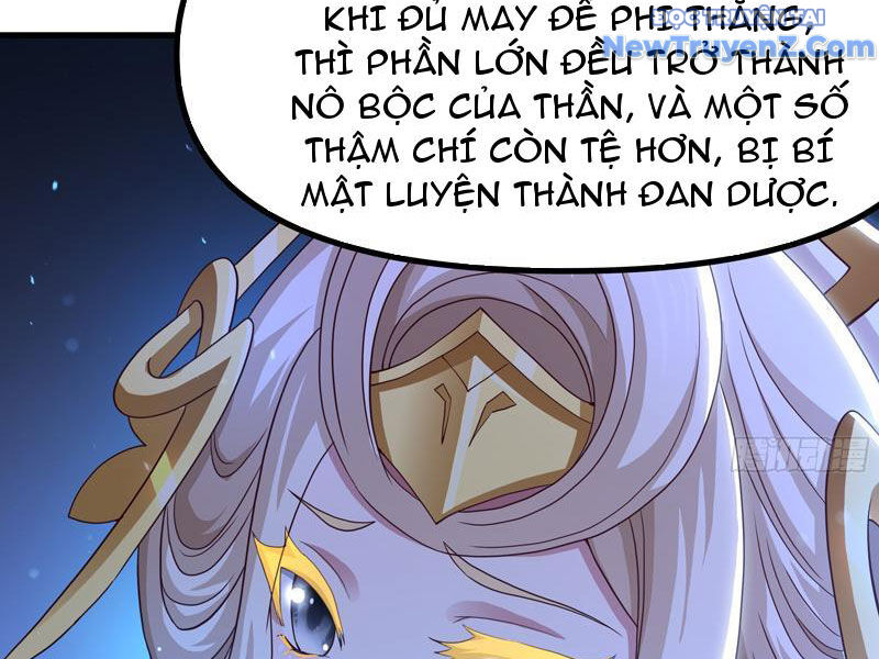page_20.jpg