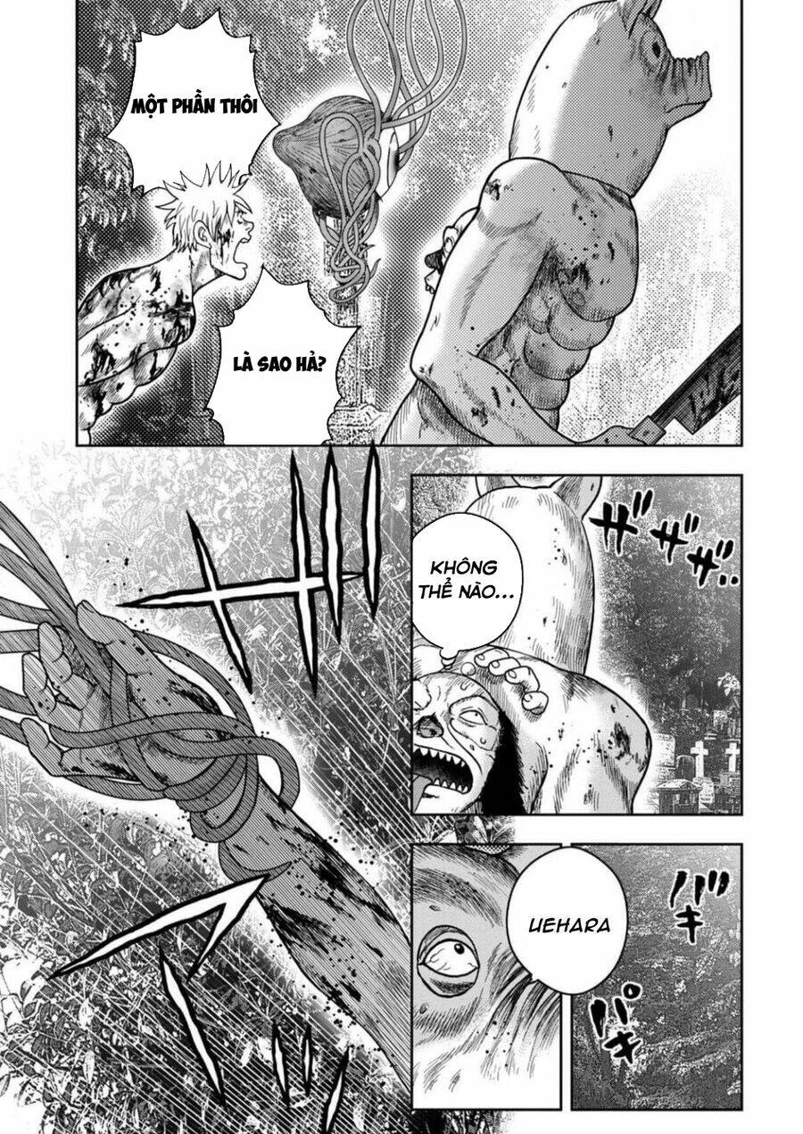 page_23.jpg