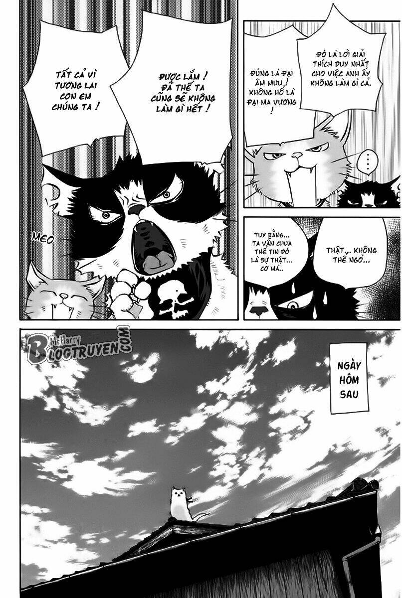page_42.jpg
