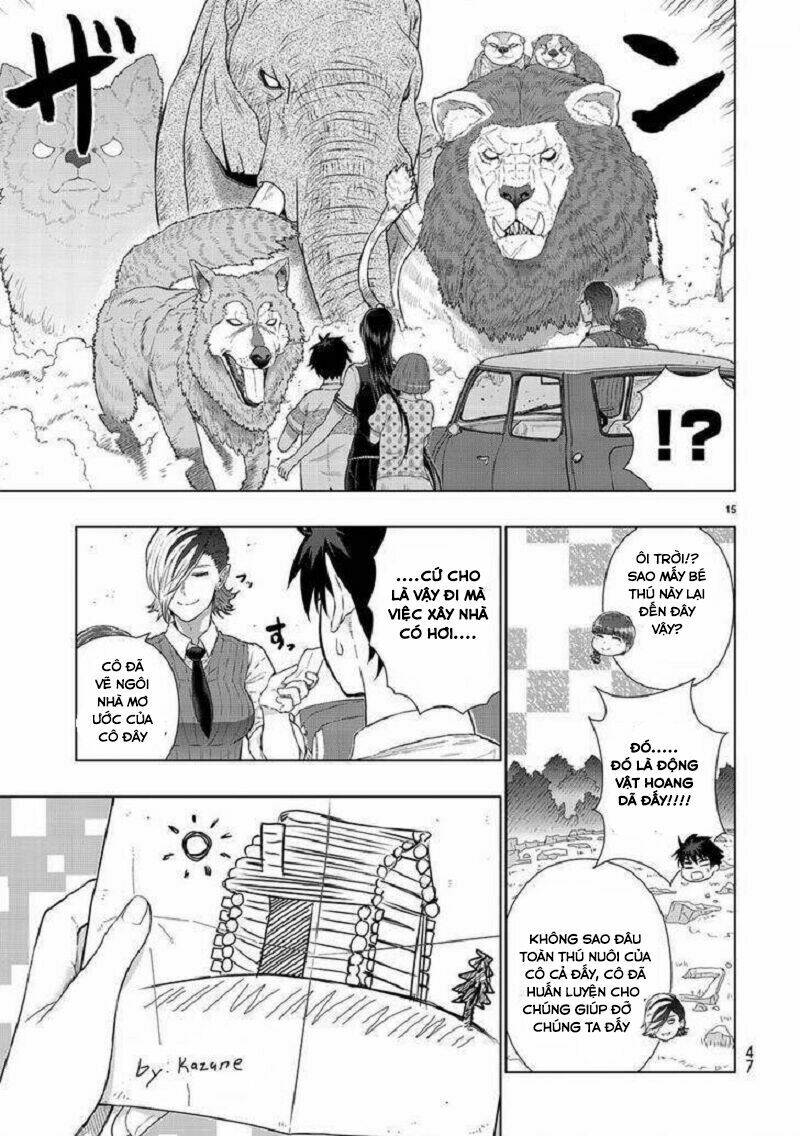 page_17.jpg
