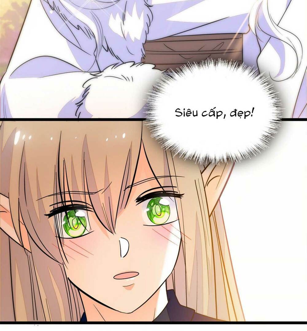 page_29.jpg