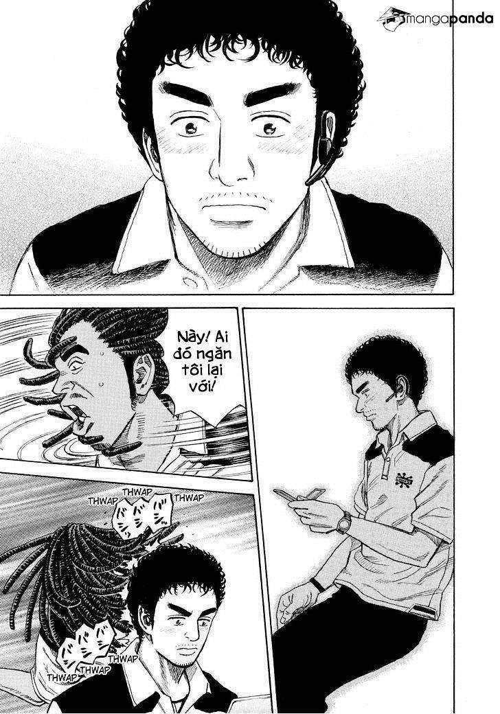 page_17.jpg