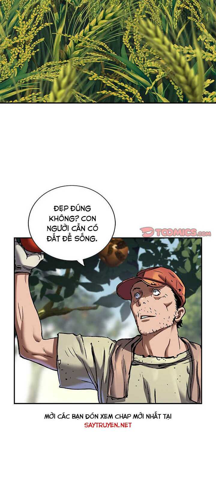 page_31.jpg