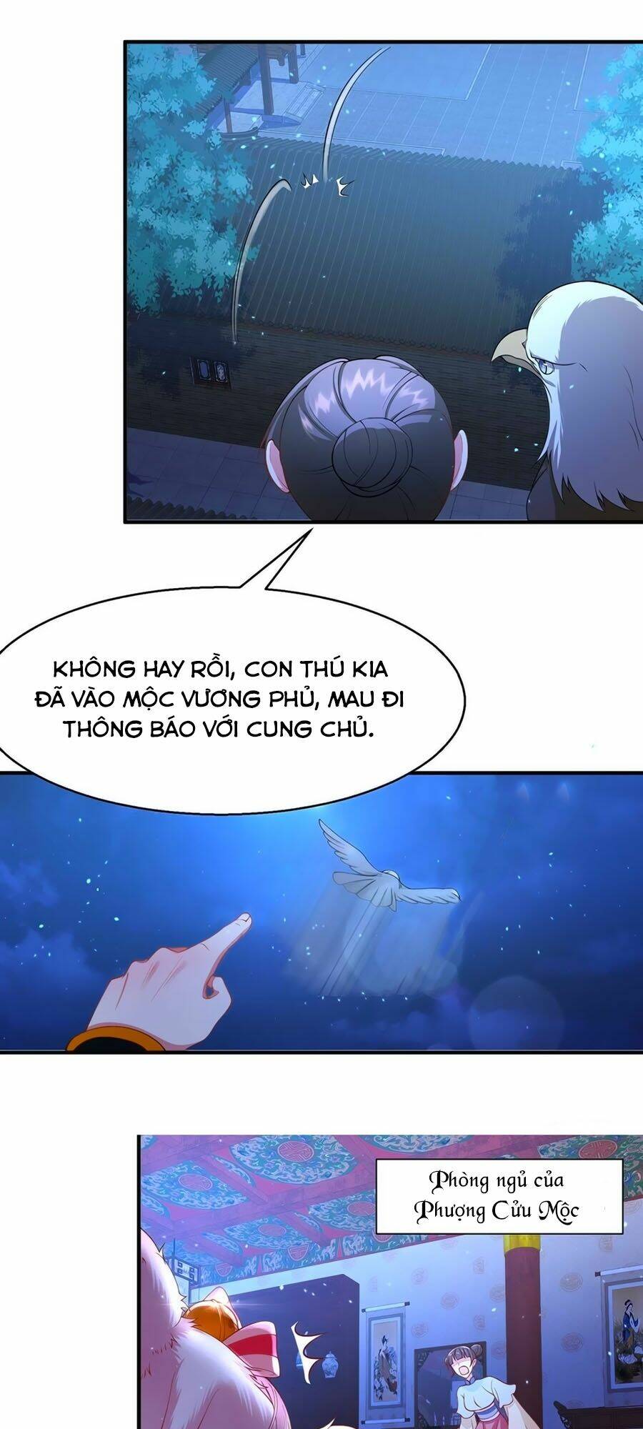 page_8.jpg