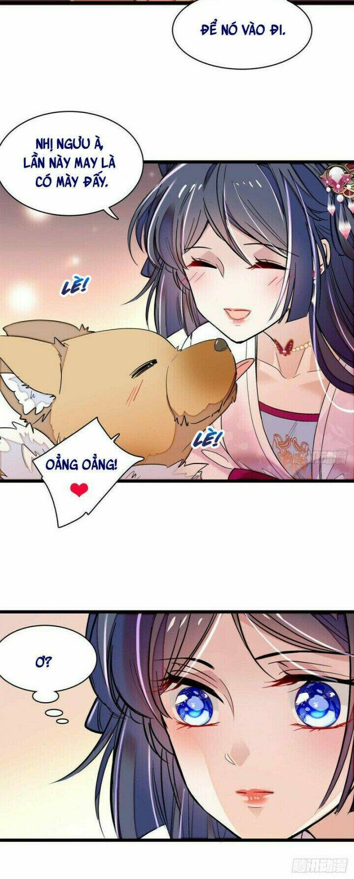 page_19.jpg