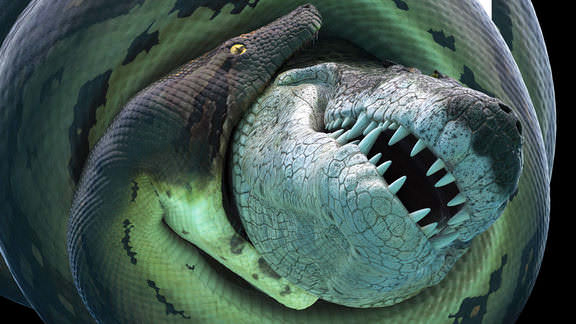 bi-an-quai-vat-khong-lo-titanoboa-poster.jpg
