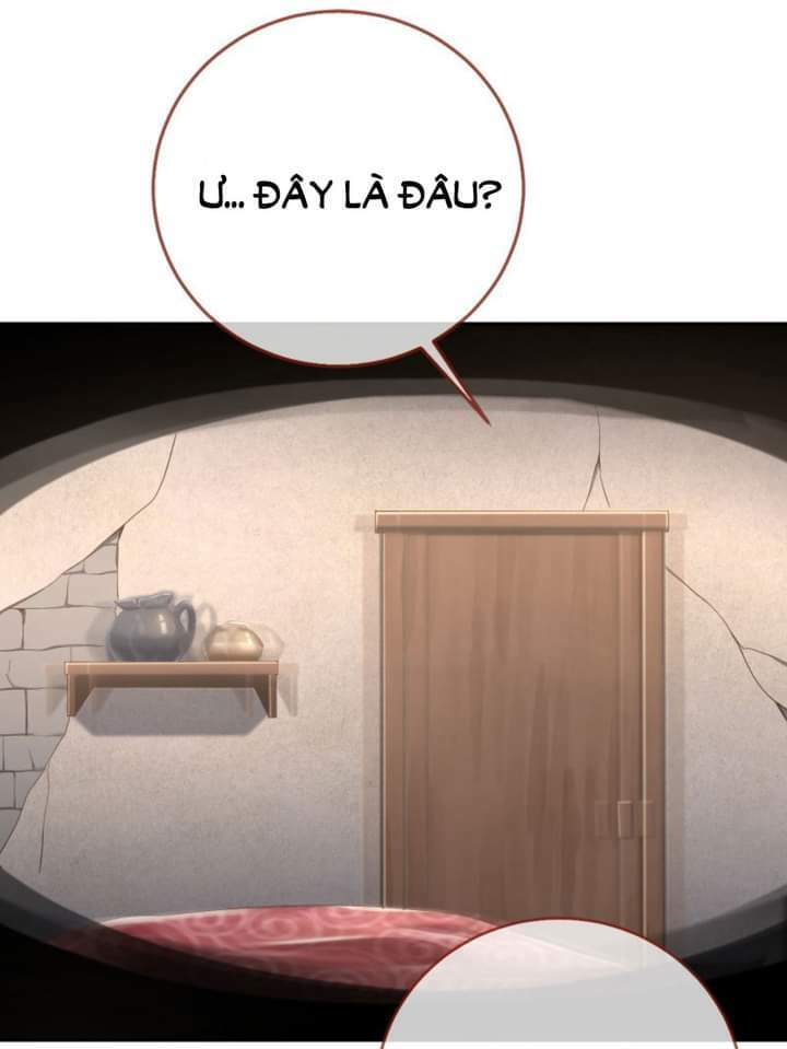 page_29.jpg