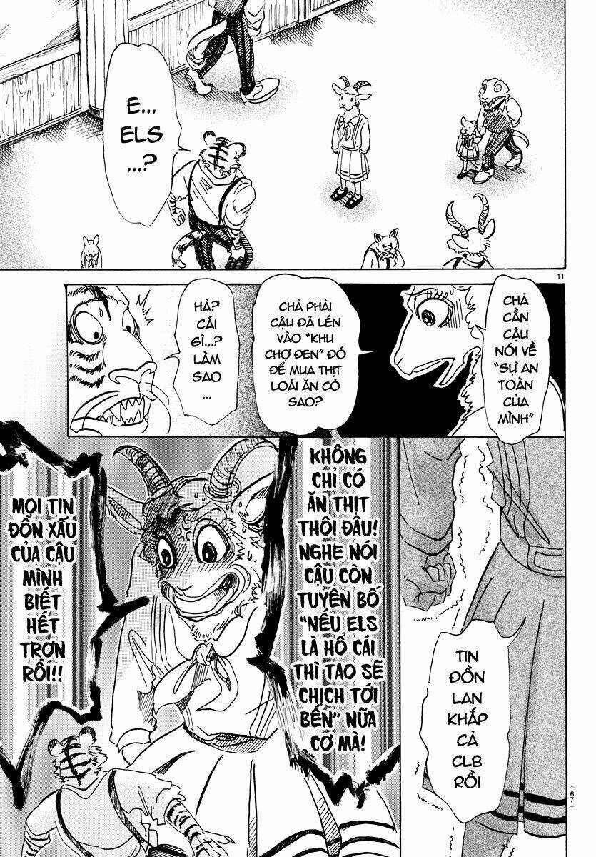 page_11.jpg