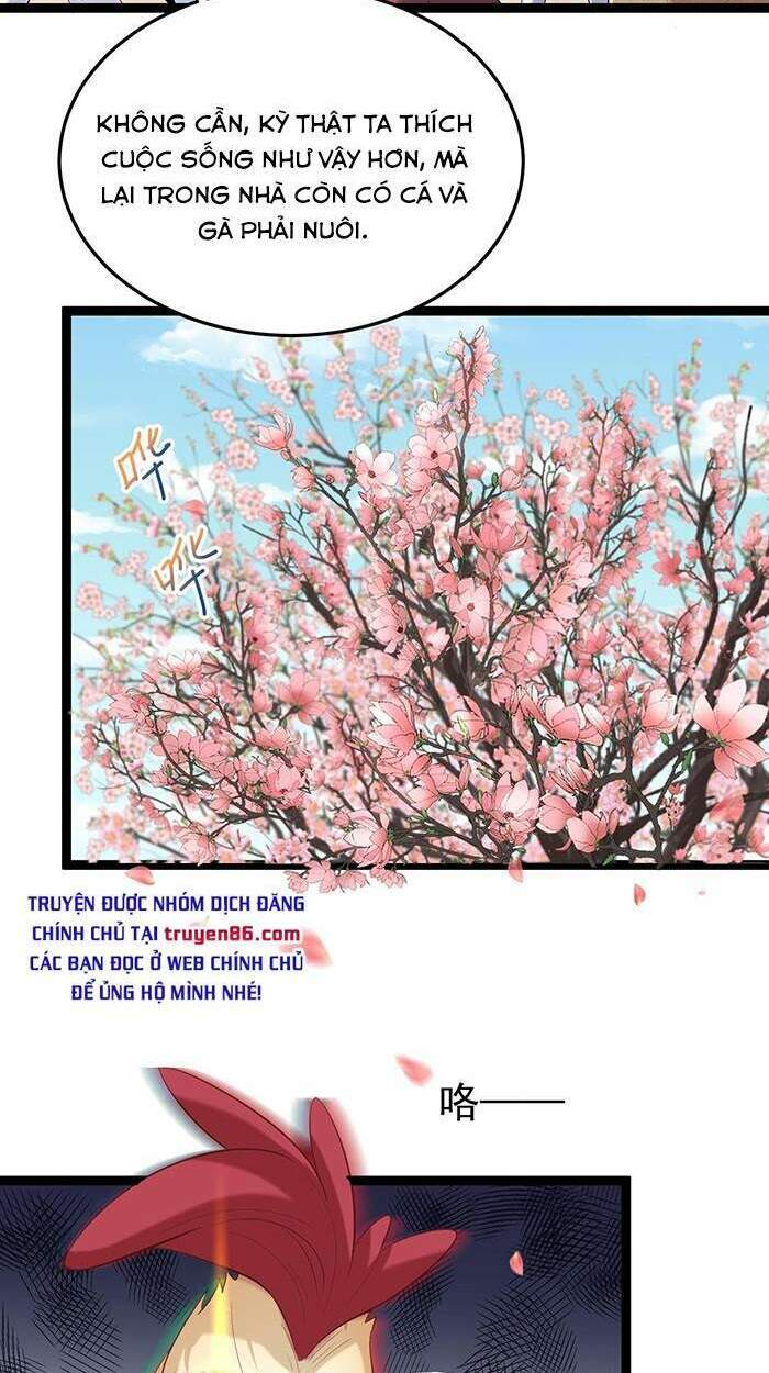page_30.jpg