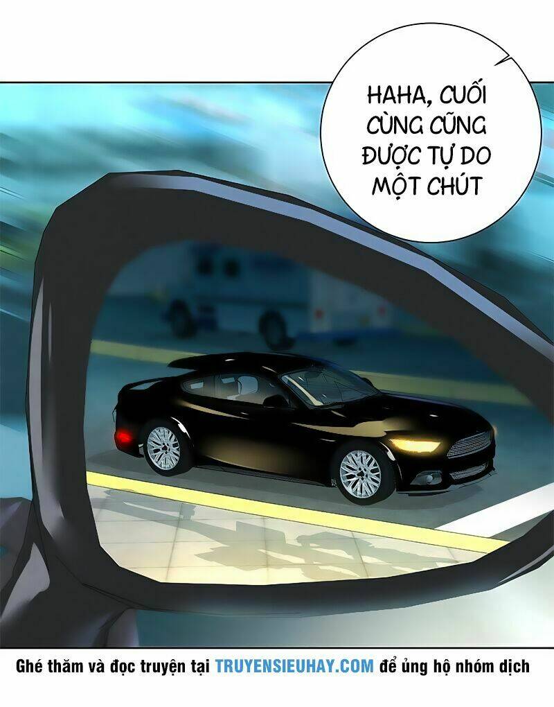 page_19.jpg