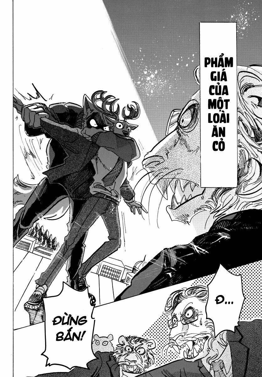 page_17.jpg