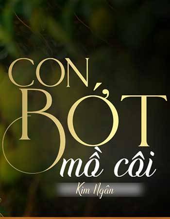 tieu-thuyet-con-bot-mo-coi.jpg