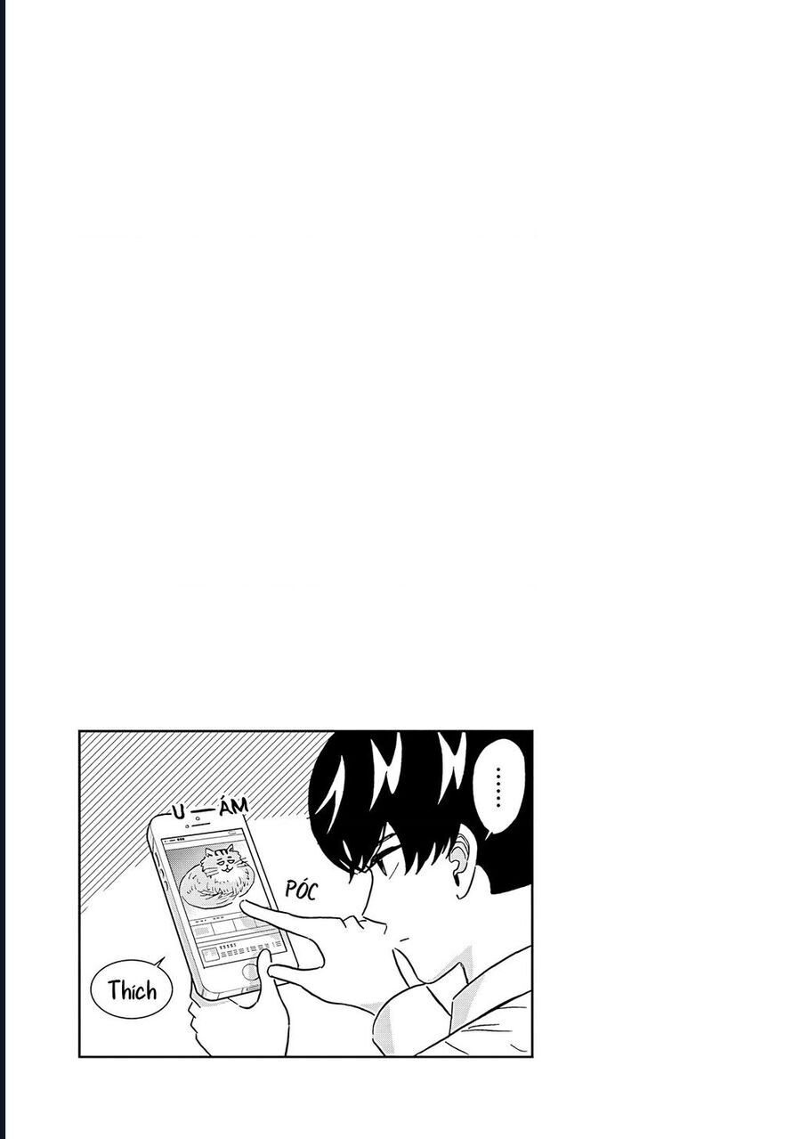 page_20.jpg