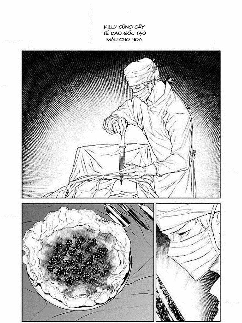 page_18.jpg