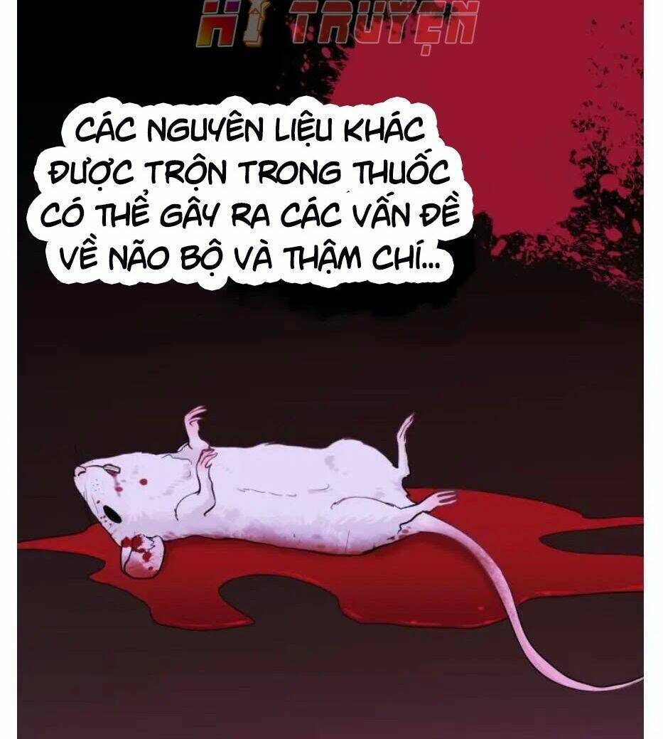 page_19.jpg