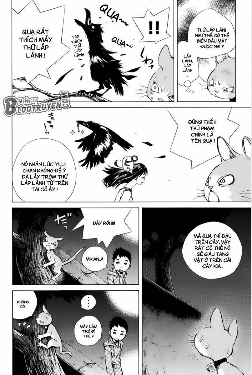 page_19.jpg