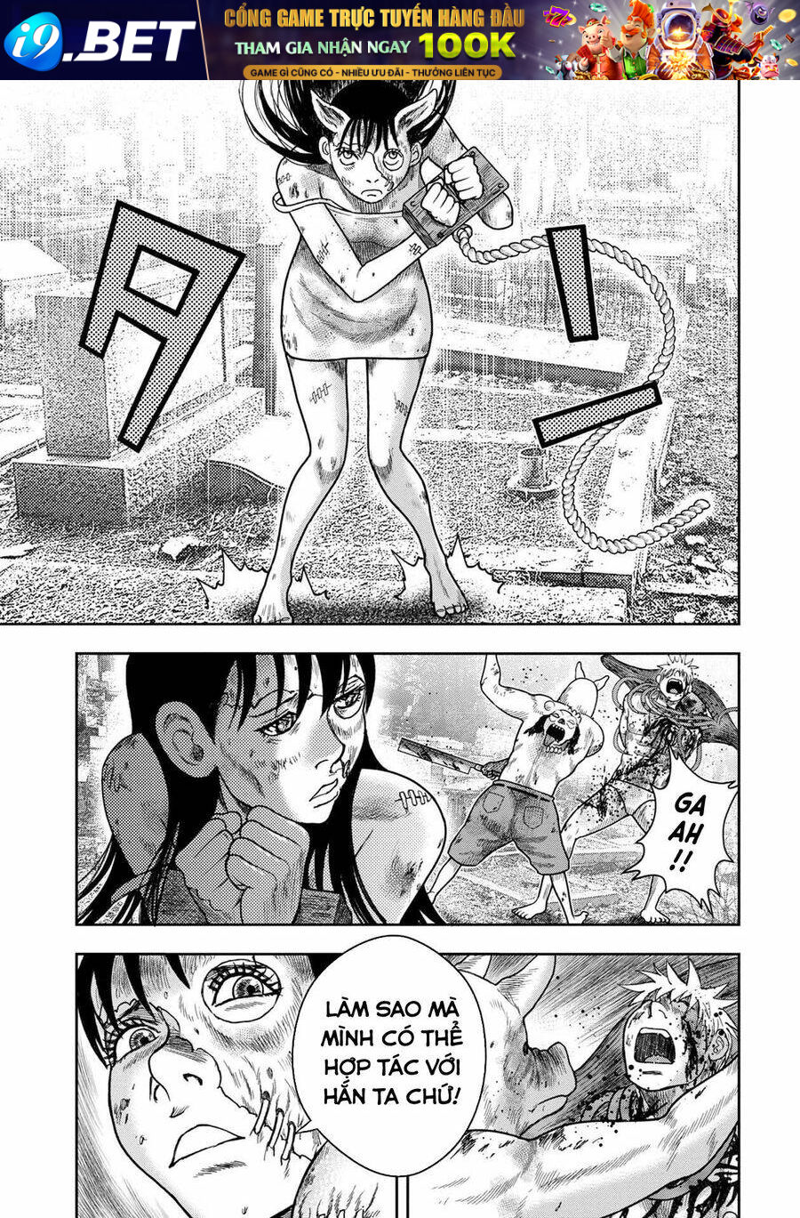 page_20.jpg