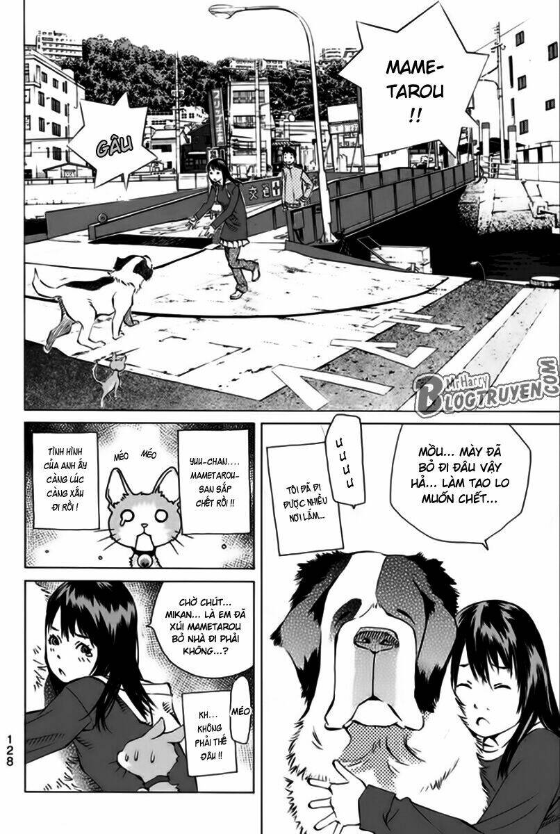 page_35.jpg
