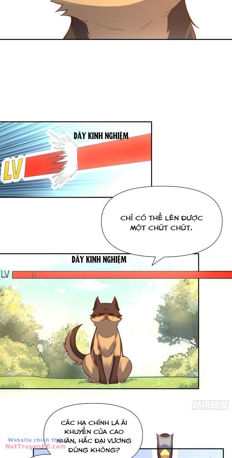 page_21.jpg