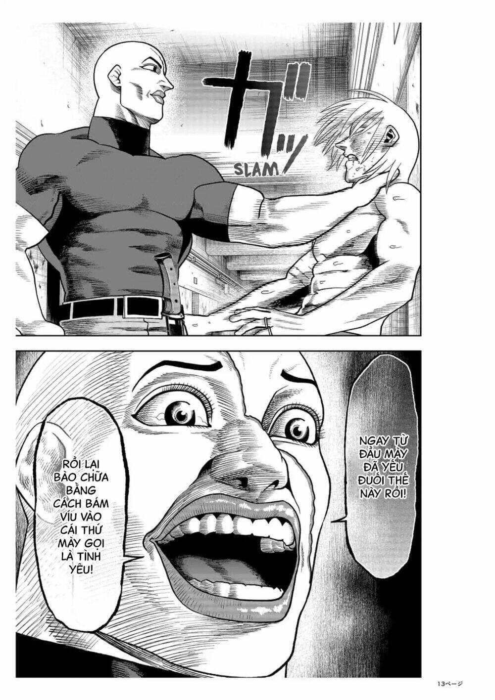 page_13.jpg