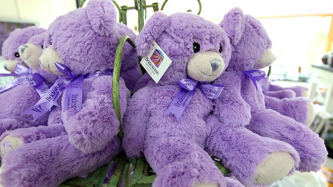 989854-lavender-bear.jpg